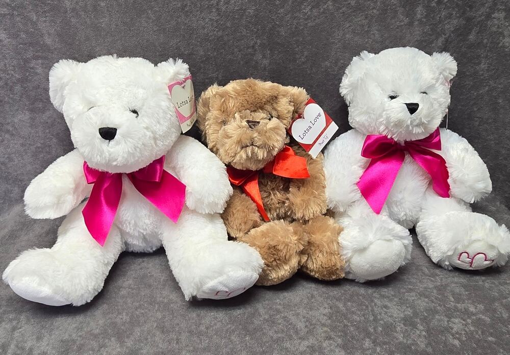 1800 Flowers Anico Lotsa Love Plush Teddy Bear Bundle Honee Bear CJ Sweet Honee